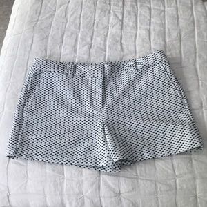 Size 10 Ann Taylor Loft black dot shorts